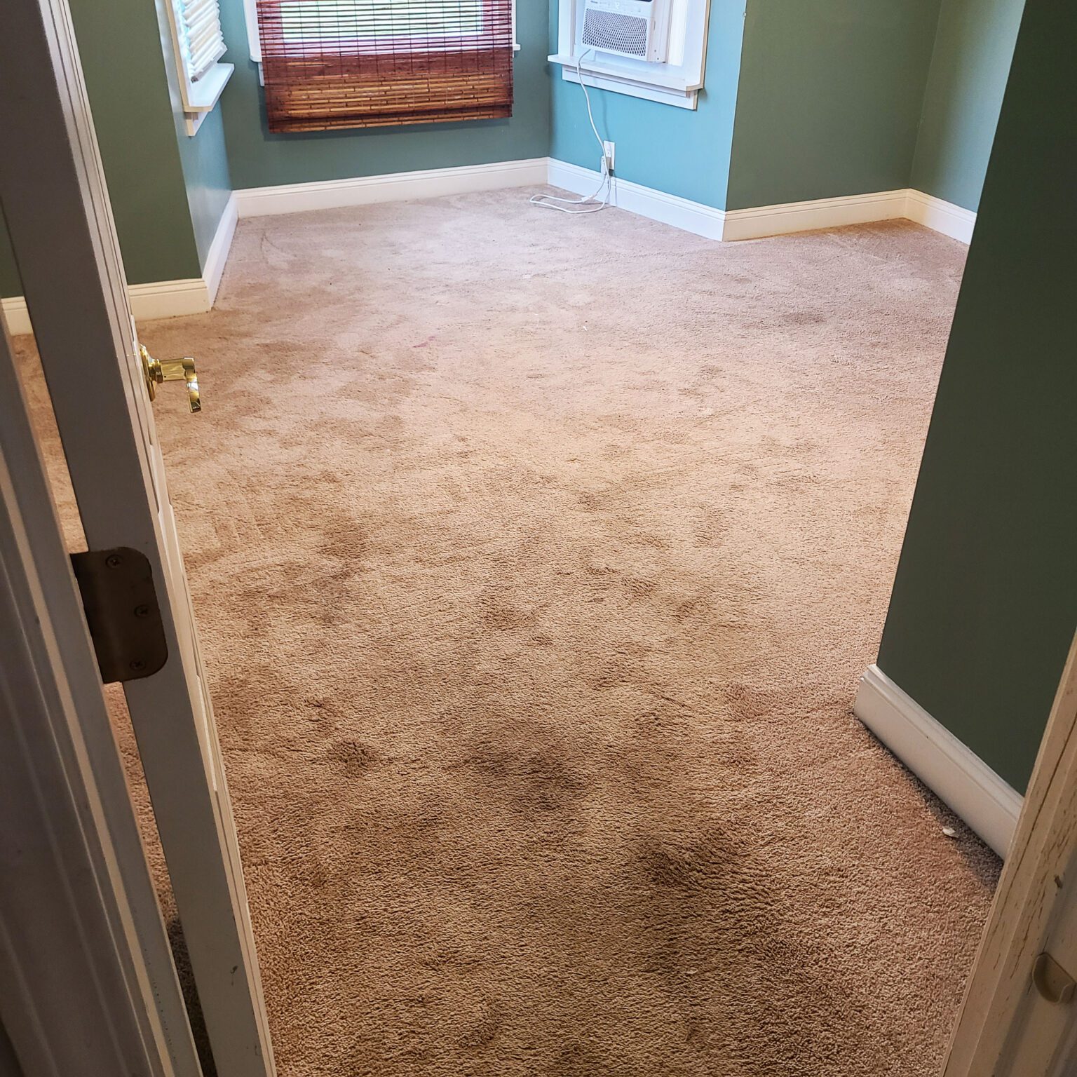 Carpet Cleaning