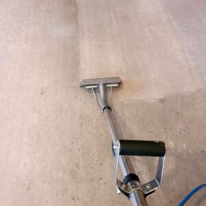 Carpet Cleaning