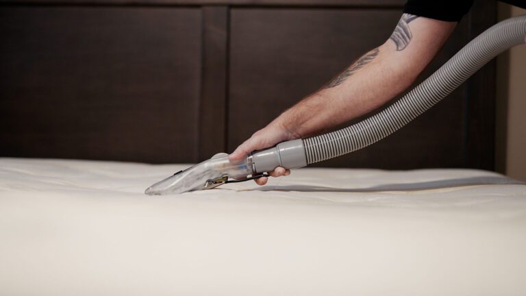 Carpet Cleaning