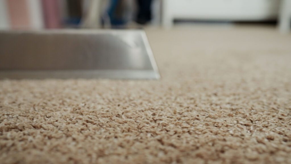Carpet Cleaning